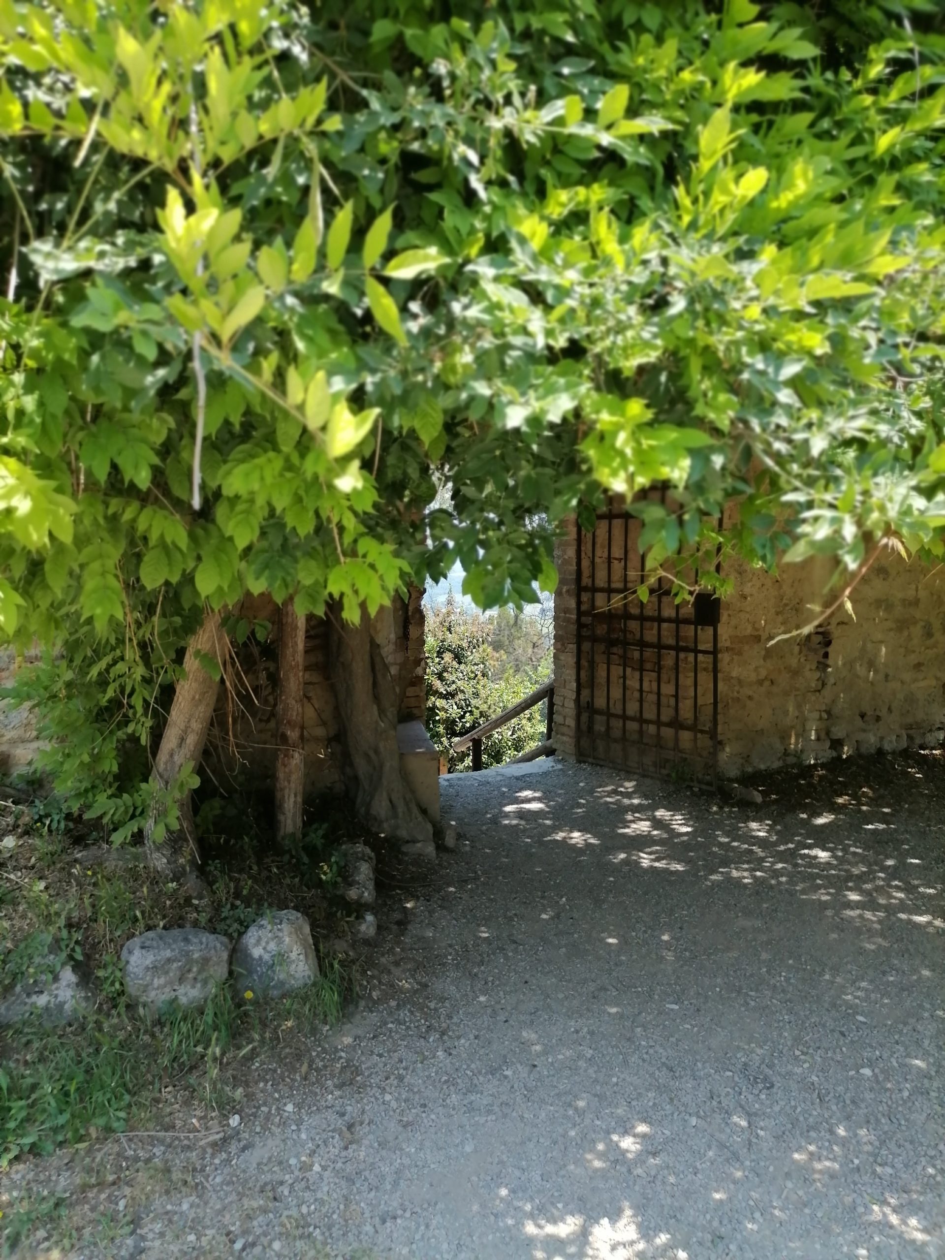 Rocca San Gimignano