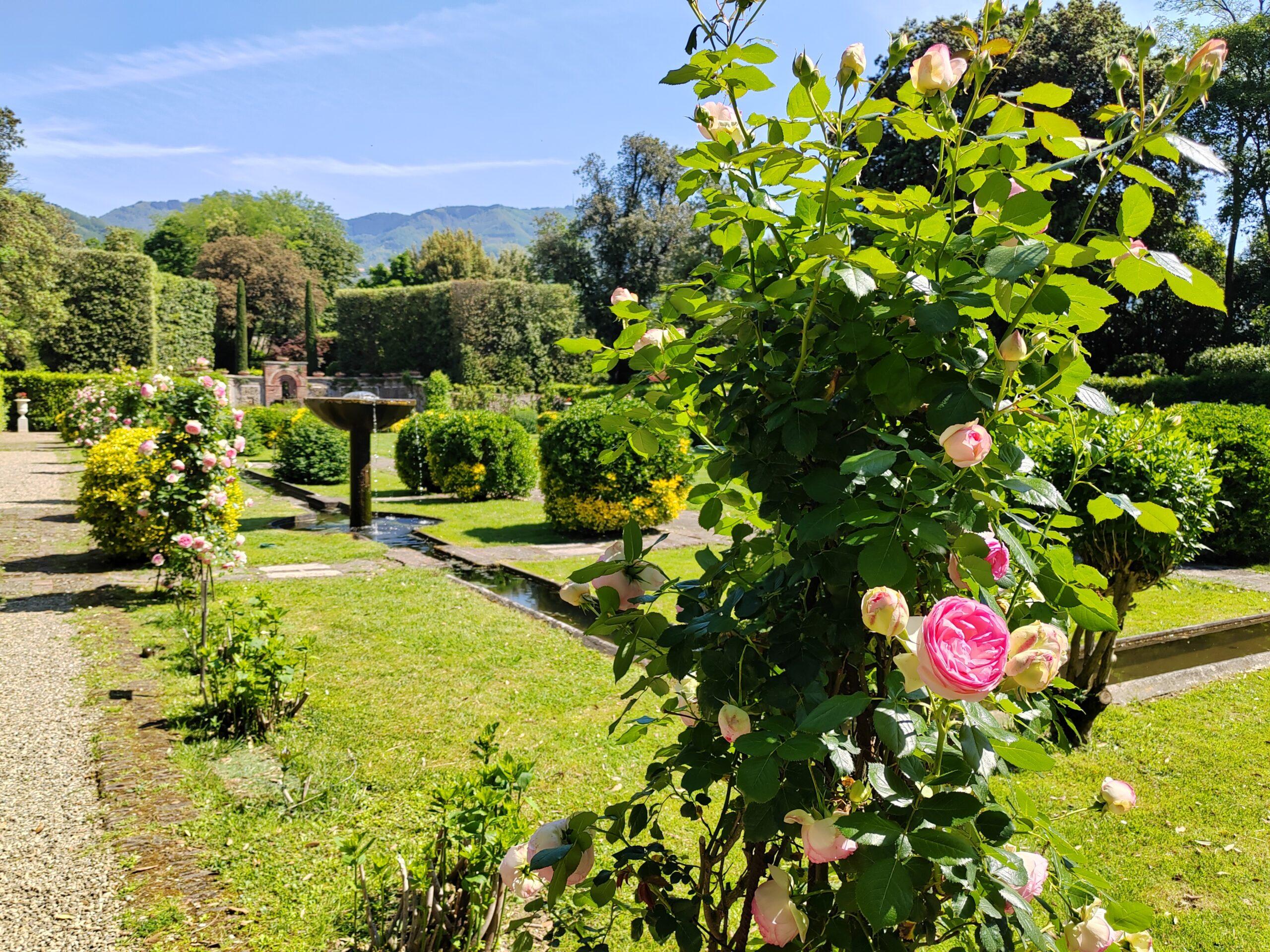 villa marlia lucca