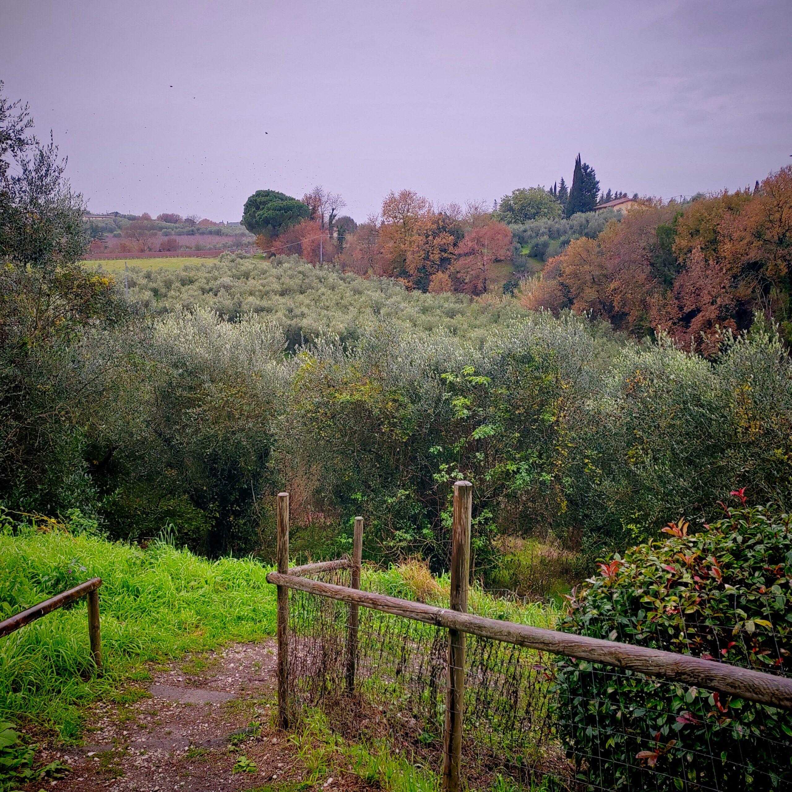 vinci okolice krajobrazy