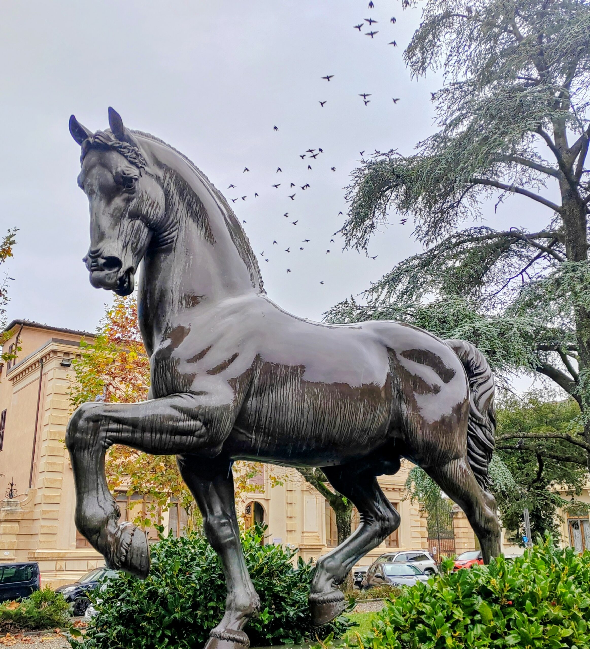 nina akamu kon w vinci